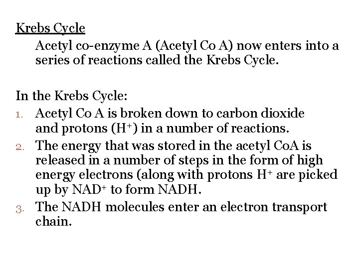 Krebs Cycle Acetyl co enzyme A (Acetyl Co A) now enters into a series