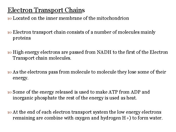 Electron Transport Chains Located on the inner membrane of the mitochondrion Electron transport chain