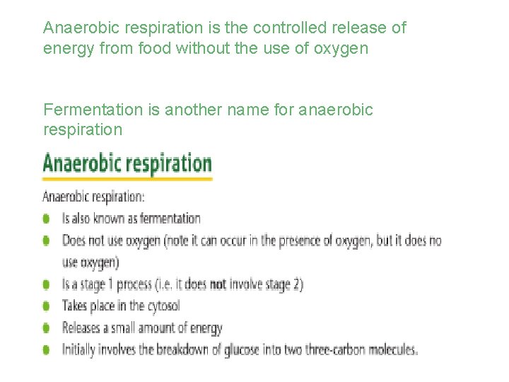 Anaerobic respiration is the controlled release of energy from food without the use of