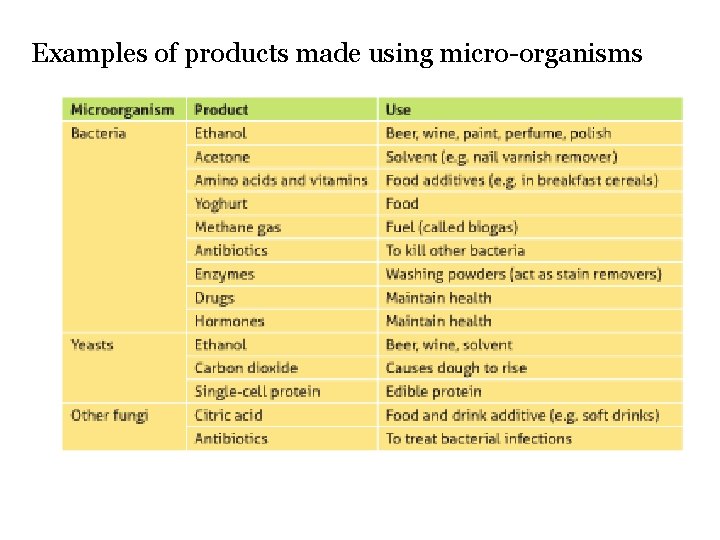Examples of products made using micro organisms 