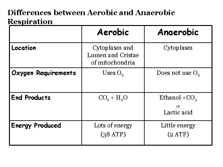 Differences between Aerobic and Anaerobic Respiration Location Oxygen Requirements End Products Aerobic Anaerobic Cytoplasm