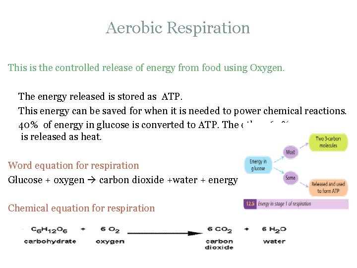 Aerobic Respiration This is the controlled release of energy from food using Oxygen. The