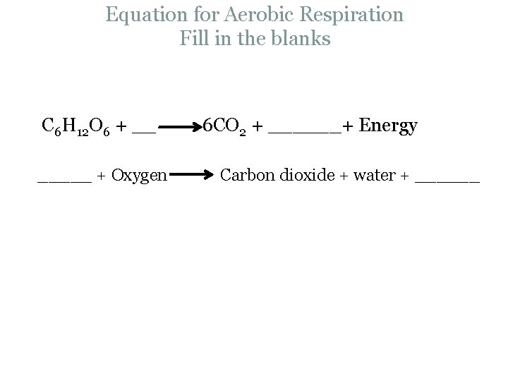 Equation for Aerobic Respiration Fill in the blanks C 6 H 12 O 6