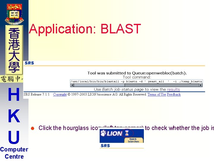 Application: BLAST H K U Computer Centre | BLAST job was submitted to the Application: BLAST H K U Computer Centre | BLAST job was submitted to the
