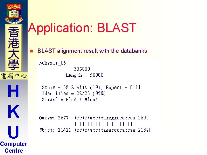 Application: BLAST | H K U Computer Centre BLAST alignment result with the databanks Application: BLAST | H K U Computer Centre BLAST alignment result with the databanks