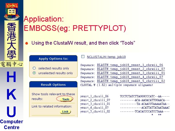Application: EMBOSS(eg: PRETTYPLOT) | H K U Computer Centre Using the Clustal. W result, Application: EMBOSS(eg: PRETTYPLOT) | H K U Computer Centre Using the Clustal. W result,