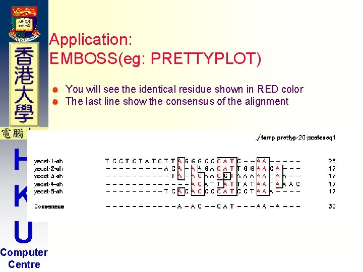 Application: EMBOSS(eg: PRETTYPLOT) | | H K U Computer Centre You will see the Application: EMBOSS(eg: PRETTYPLOT) | | H K U Computer Centre You will see the