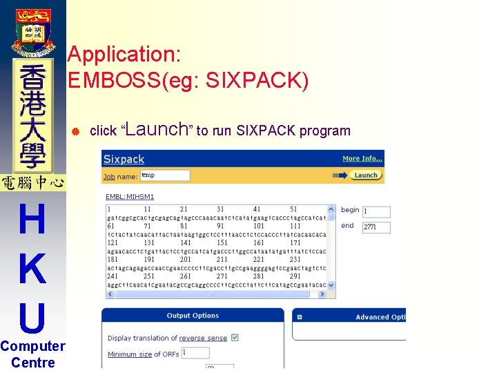 Application: EMBOSS(eg: SIXPACK) | H K U Computer Centre click “Launch” to run SIXPACK Application: EMBOSS(eg: SIXPACK) | H K U Computer Centre click “Launch” to run SIXPACK