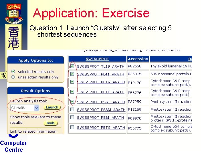 Application: Exercise Question 1. Launch “Clustalw” after selecting 5 shortest sequences H K U Application: Exercise Question 1. Launch “Clustalw” after selecting 5 shortest sequences H K U