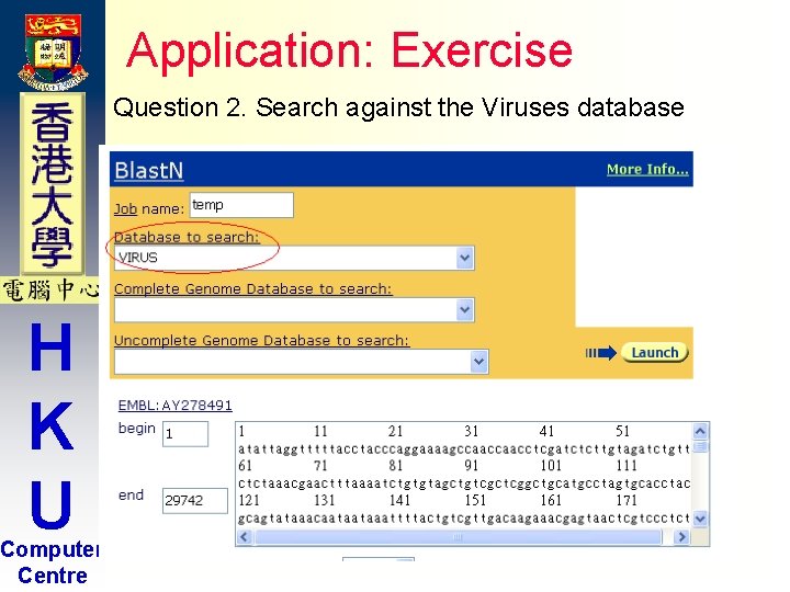 Application: Exercise Question 2. Search against the Viruses database H K U Computer Centre Application: Exercise Question 2. Search against the Viruses database H K U Computer Centre