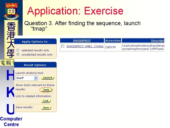 Application: Exercise Question 3. After finding the sequence, launch “tmap” H K U Computer Application: Exercise Question 3. After finding the sequence, launch “tmap” H K U Computer