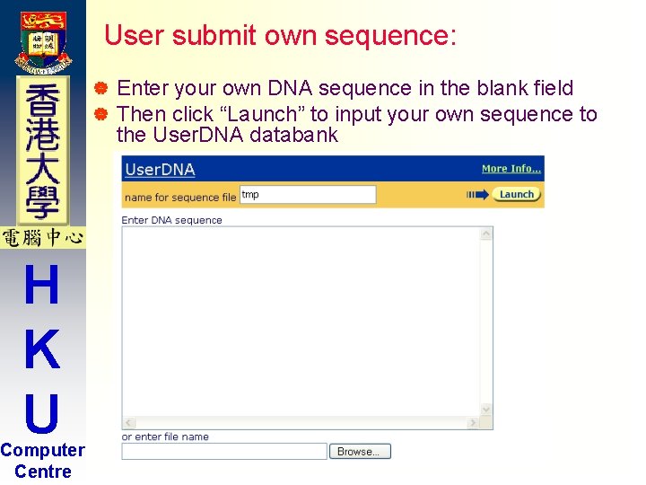 User submit own sequence: | | H K U Computer Centre Enter your own User submit own sequence: | | H K U Computer Centre Enter your own