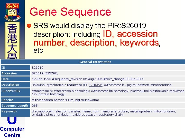 Gene Sequence | SRS would display the PIR: S 26019 description: including ID, accession Gene Sequence | SRS would display the PIR: S 26019 description: including ID, accession