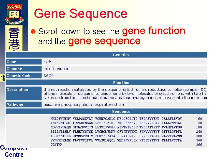 Gene Sequence down to see the gene and the gene sequence | Scroll H Gene Sequence down to see the gene and the gene sequence | Scroll H