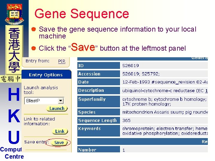 Gene Sequence | | H K U Computer Centre Save the gene sequence information Gene Sequence | | H K U Computer Centre Save the gene sequence information