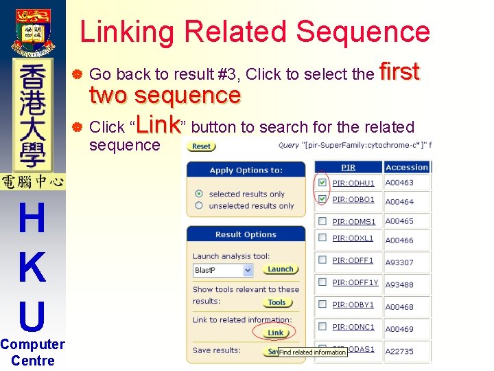 Linking Related Sequence | Go back to result #3, Click to select the first Linking Related Sequence | Go back to result #3, Click to select the first