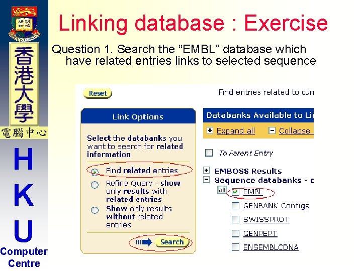 Linking database : Exercise Question 1. Search the “EMBL” database which have related entries Linking database : Exercise Question 1. Search the “EMBL” database which have related entries