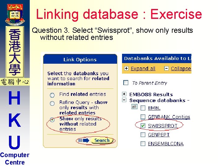 Linking database : Exercise Question 3. Select “Swissprot”, show only results without related entries Linking database : Exercise Question 3. Select “Swissprot”, show only results without related entries
