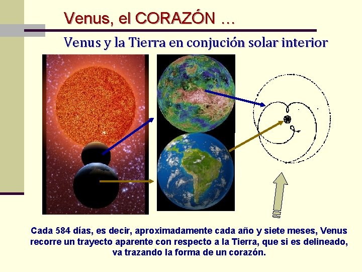 Venus, el CORAZÓN … Venus y la Tierra en conjución solar interior Cada 584