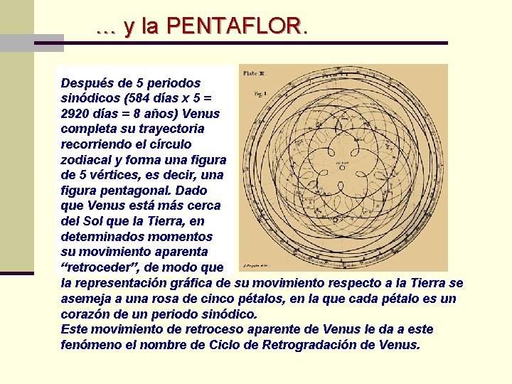 … y la PENTAFLOR. Después de 5 periodos sinódicos (584 días x 5 =