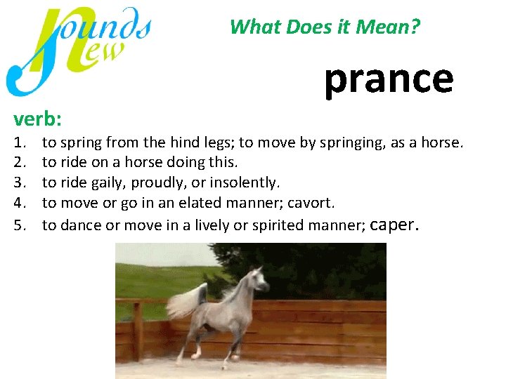 What Does it Mean? verb: 1. 2. 3. 4. 5. prance to spring from