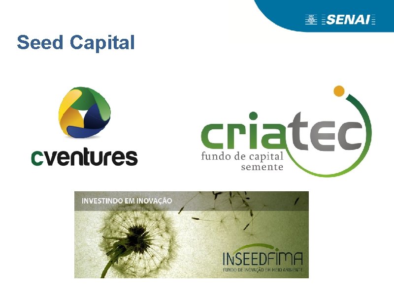 Seed Capital 