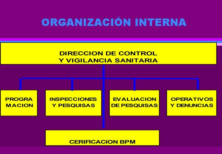 ORGANIZACIÓN INTERNA 