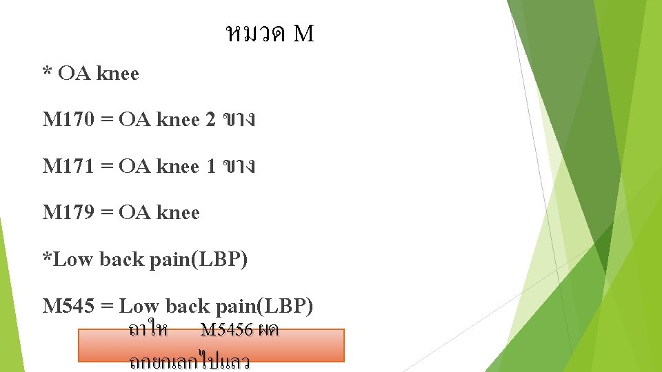 หมวด M * OA knee M 170 = OA knee 2 ขาง M 171