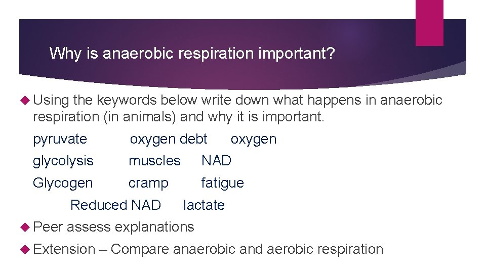 Why is anaerobic respiration important? Using the keywords below write down what happens in Why is anaerobic respiration important? Using the keywords below write down what happens in