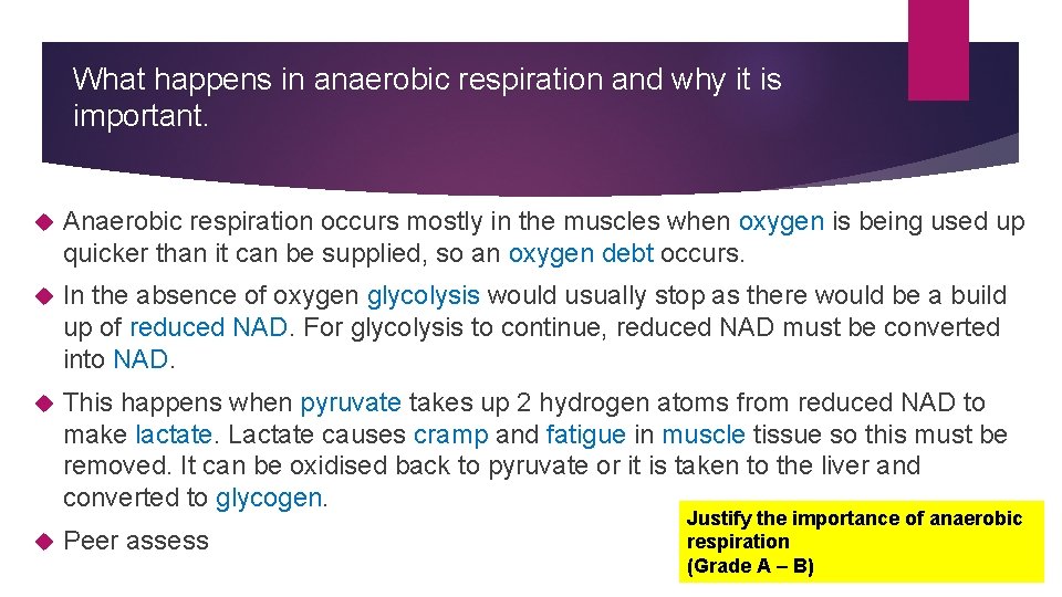 What happens in anaerobic respiration and why it is important. Anaerobic respiration occurs mostly What happens in anaerobic respiration and why it is important. Anaerobic respiration occurs mostly