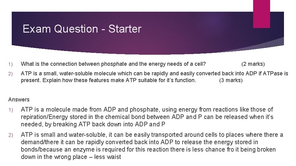 Exam Question - Starter 1) What is the connection between phosphate and the energy Exam Question - Starter 1) What is the connection between phosphate and the energy
