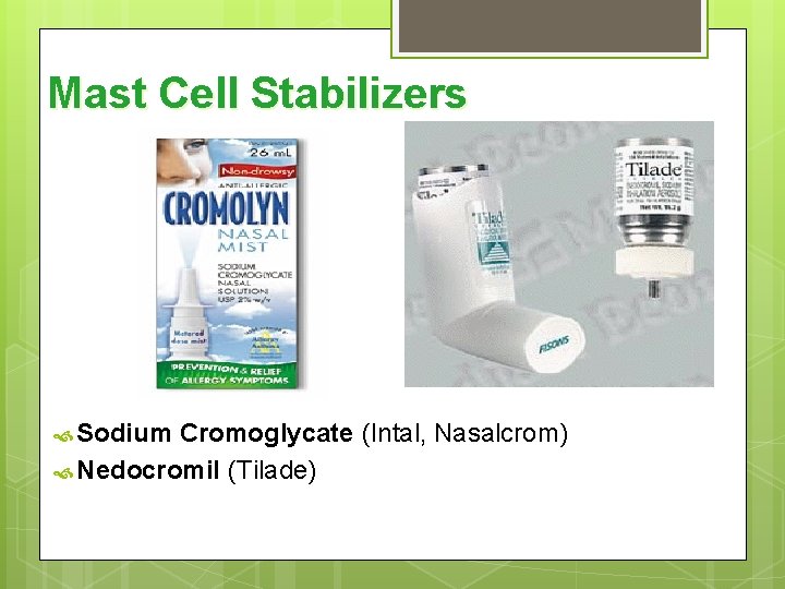 Mast Cell Stabilizers Sodium Cromoglycate (Intal, Nasalcrom) Nedocromil (Tilade) 