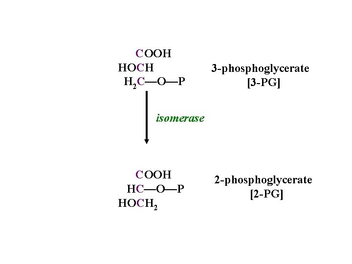 COOH HOCH H 2 C—O—P 3 -phosphoglycerate [3 -PG] isomerase COOH HC—O—P HOCH 2