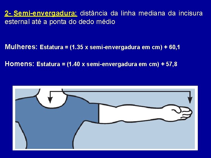 2 - Semi-envergadura: distância da linha mediana da incisura esternal até a ponta do