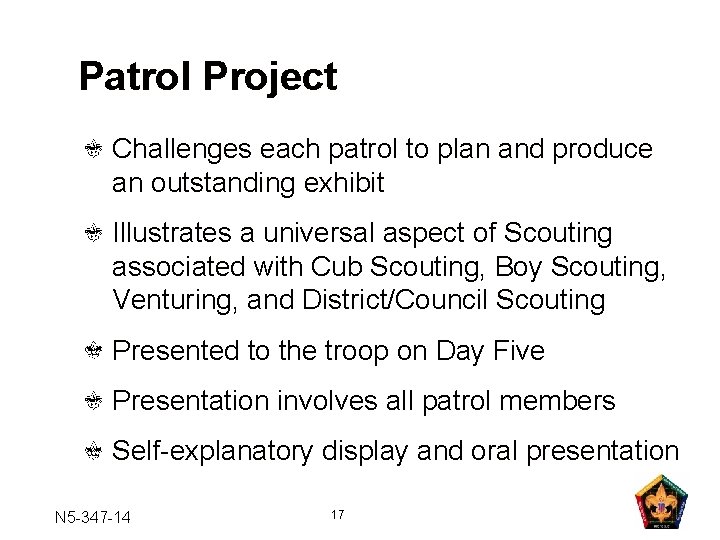 Patrol Project Challenges each patrol to plan and produce an outstanding exhibit Illustrates a