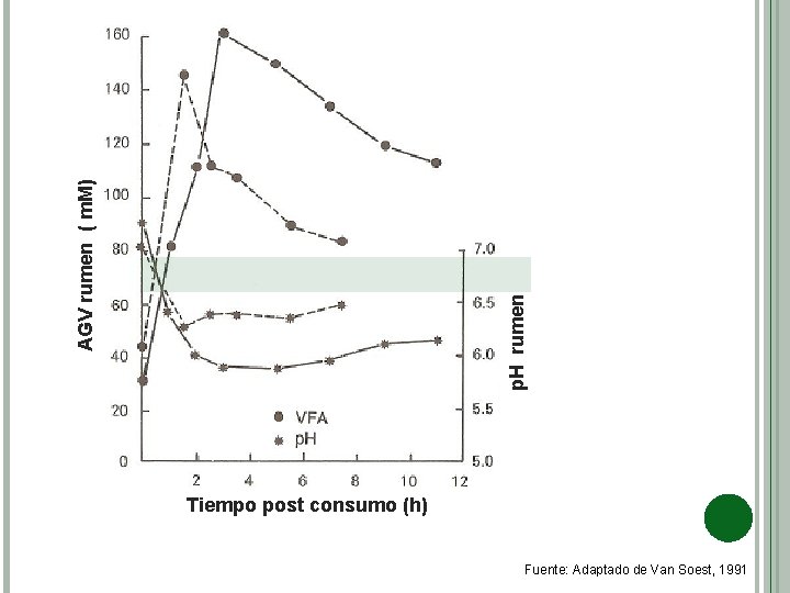 p. H rumen AGV rumen ( m. M) Tiempo post consumo (h) Fuente: Adaptado