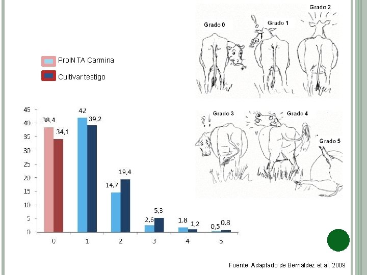 Pro. INTA Carmina Cultivar testigo Fuente: Adaptado de Bernáldez et al, 2009 