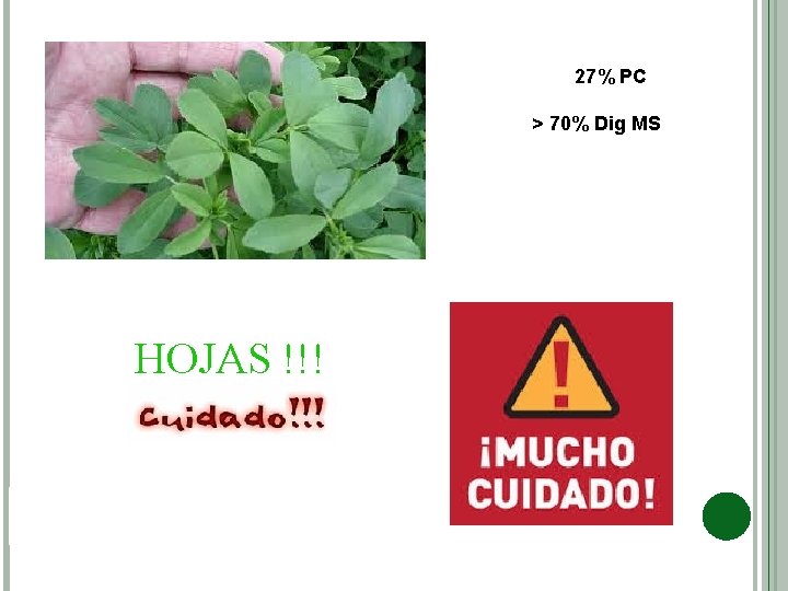 27% PC > 70% Dig MS HOJAS !!! 