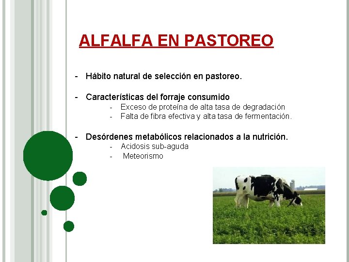 ALFALFA EN PASTOREO - Hábito natural de selección en pastoreo. - Características del forraje
