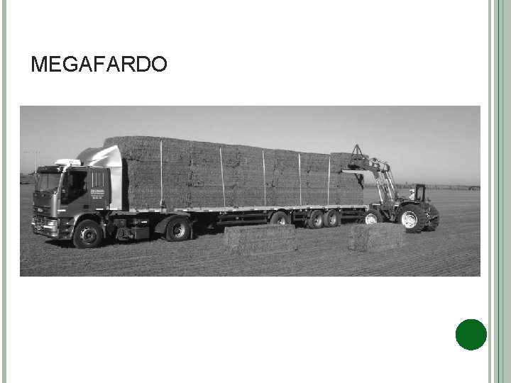 MEGAFARDO 