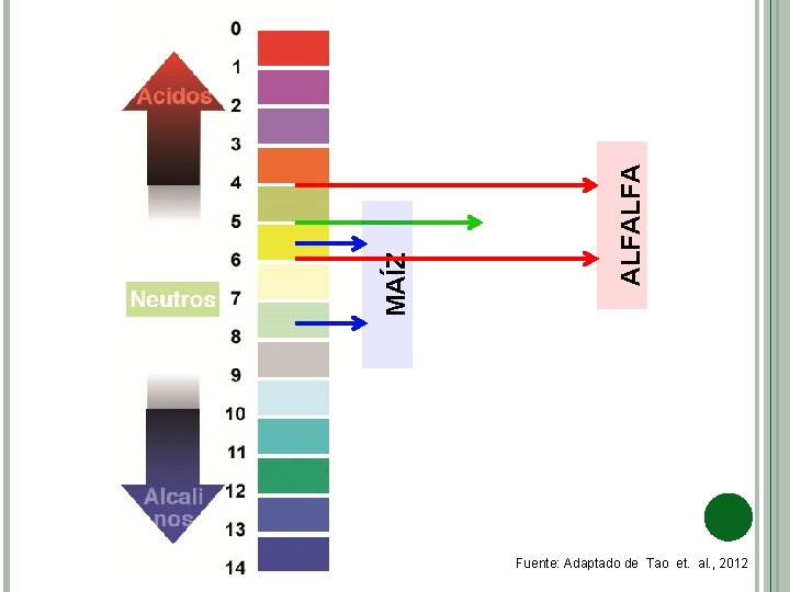 MAÍZ ALFALFA Fuente: Adaptado de Tao et. al. , 2012 