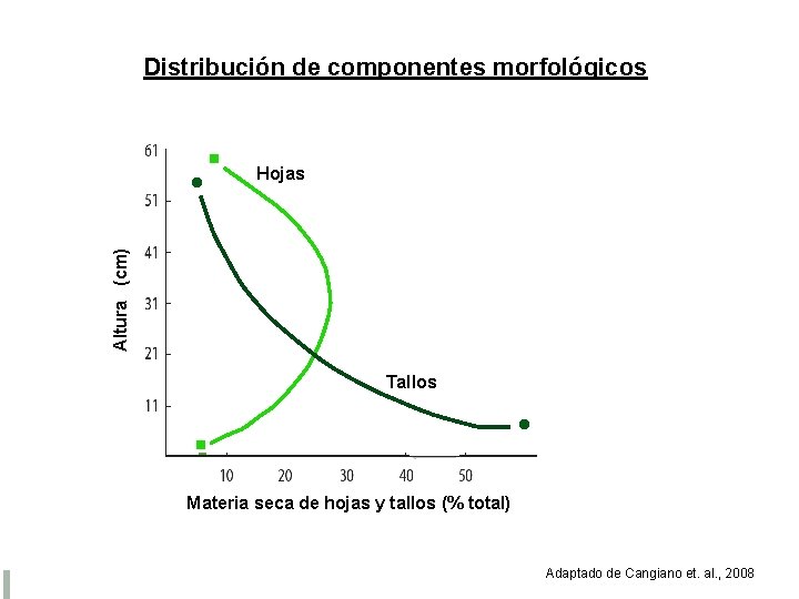 Distribución de componentes morfológicos Hojas Altura (cm) Tallos Materia seca de hojas y tallos