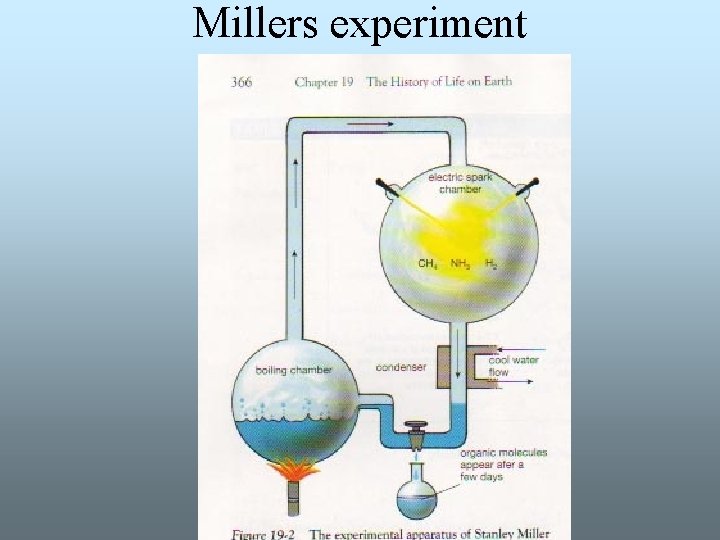 Millers experiment Millers experiment