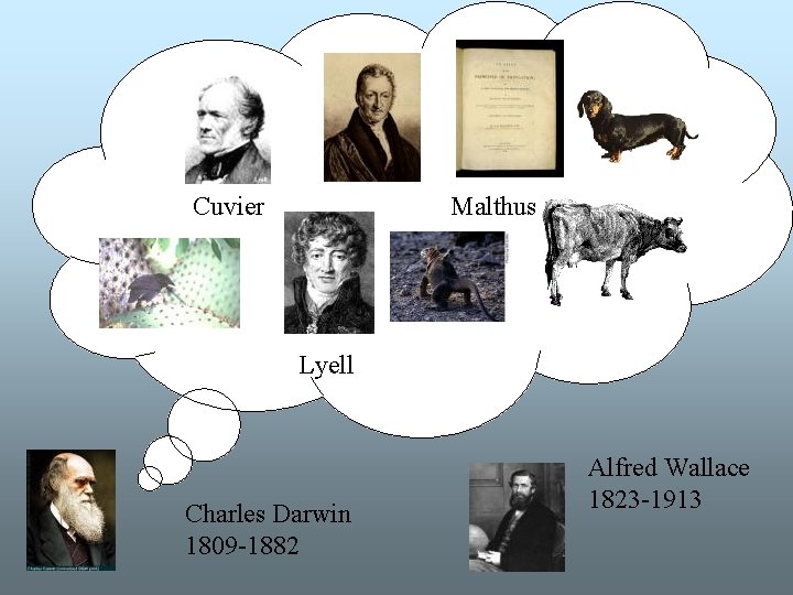 Idéhistoria Cuvier Malthus Lyell Charles Darwin 1809 -1882 Alfred Wallace 1823 -1913 Idéhistoria Cuvier Malthus Lyell Charles Darwin 1809 -1882 Alfred Wallace 1823 -1913