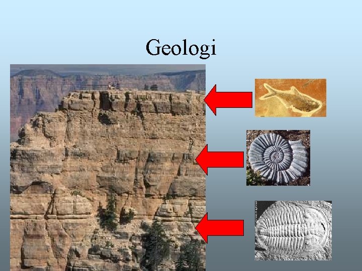 Geologi Geologi