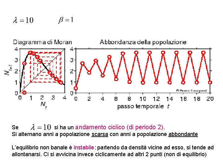 Se si ha un andamento ciclico (di periodo 2). Si alternano anni a popolazione