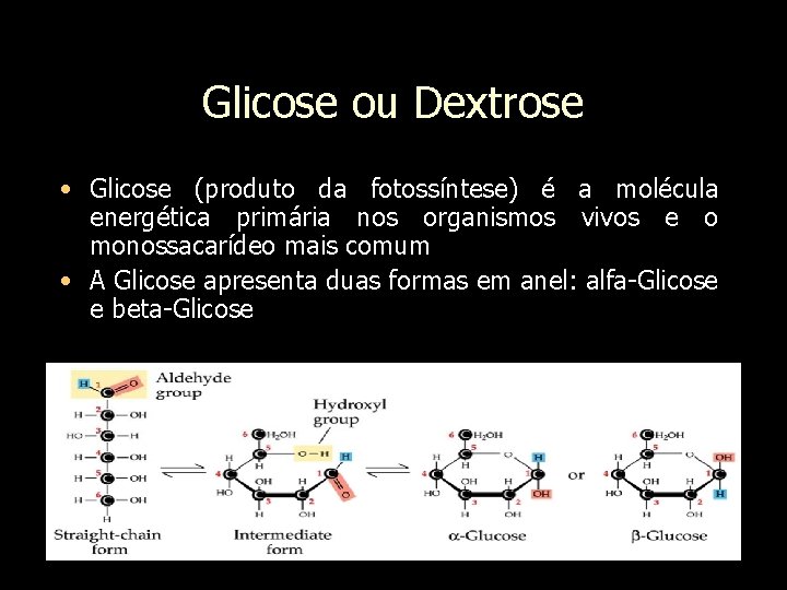 Glicose ou Dextrose • Glicose (produto da fotossíntese) é a molécula energética primária nos