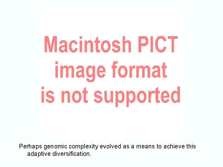 Perhaps genomic complexity evolved as a means to achieve this adaptive diversification. 