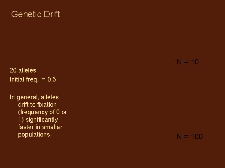 Genetic Drift N = 10 20 alleles Initial freq. = 0. 5 In general,