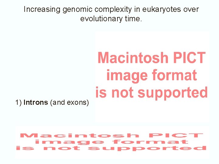 Increasing genomic complexity in eukaryotes over evolutionary time. 1) Introns (and exons) 